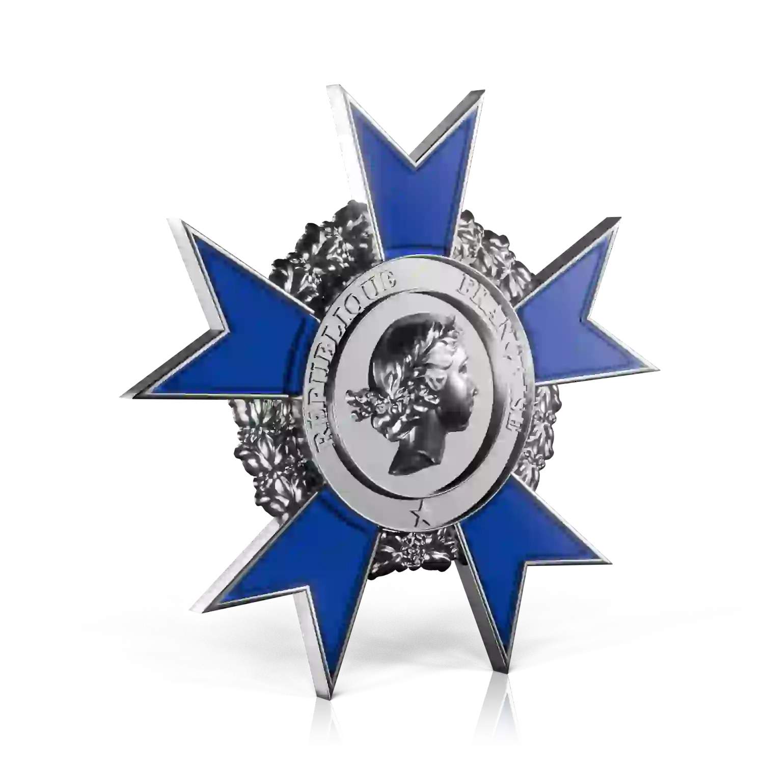 insigne argentée émaillage bleu ordre national du mérite
