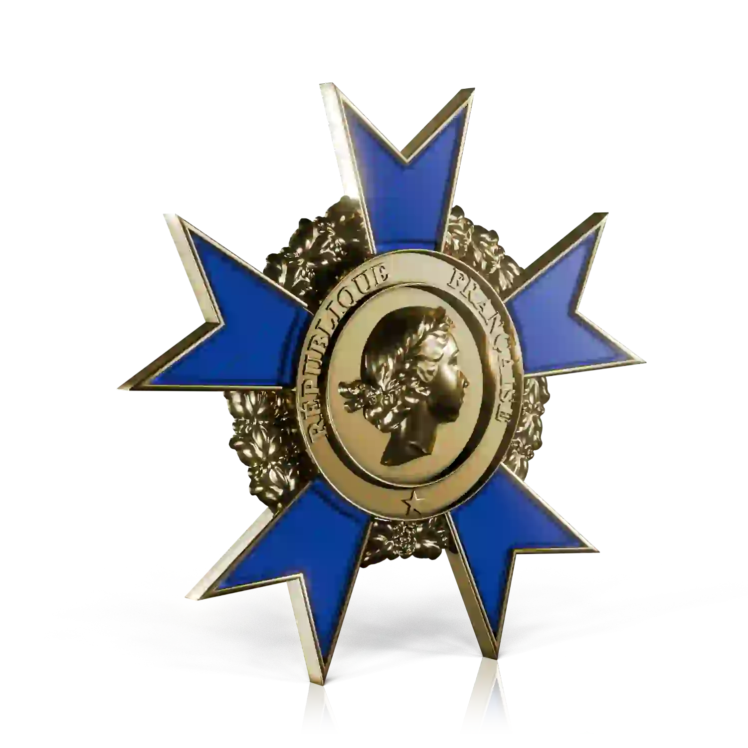insigne dorée émaillage bleu ordre national du mérite