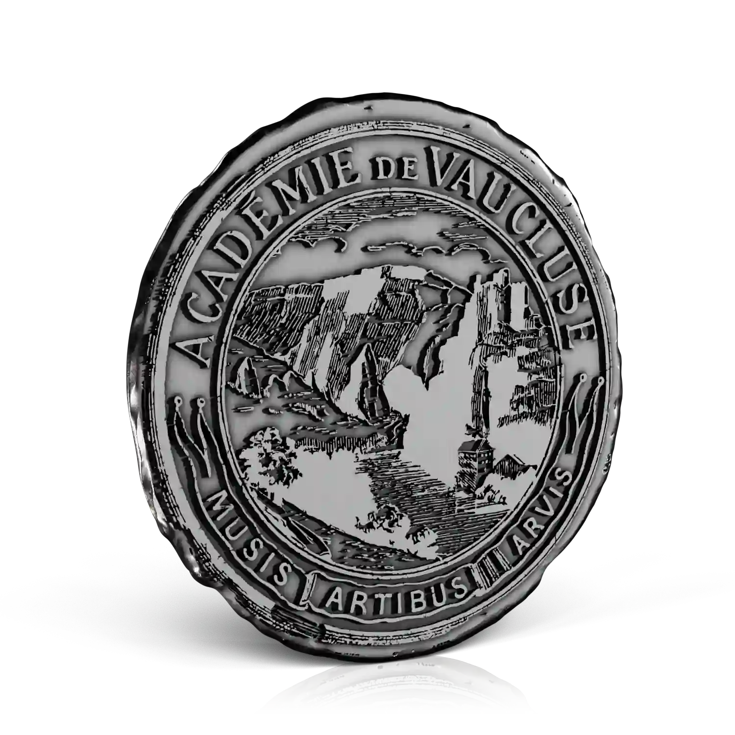 pin's en métal académie du vaucluse